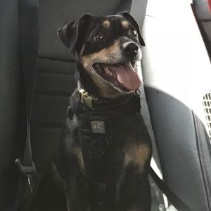 Meet your Posher, Jerome